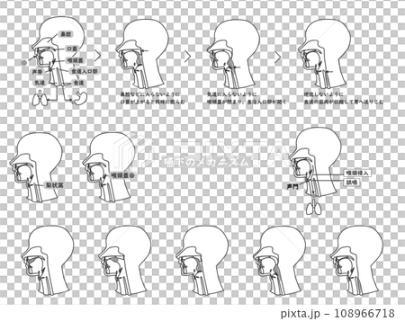 一組單色線條圖插圖,使用橫斷面圖解釋吞嚥機制。 一組單色線條圖插圖,使用橫斷面圖解釋吞嚥機制。 108966718