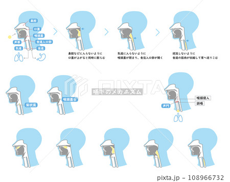 嚥下のしくみを断面図で解説した線少ないイラストセット1 108966732