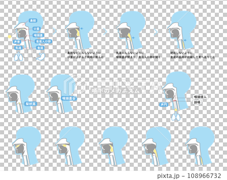 嚥下のしくみを断面図で解説した線少ないイラストセット1 108966732