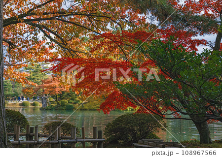 金沢 兼六園秋景色 金沢 兼六園秋景色 108967566