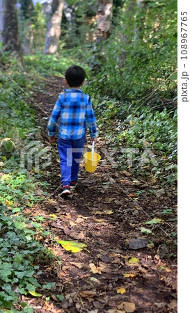 森を歩く男の子 108967765