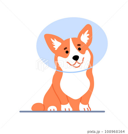 Cute little welsh corgi wearing protective cone isolated on white background. Beautiful purebred dog in veterinary Elizabethan collar design Happy smiling puppy Flat line character vector illustration Cute little welsh corgi wearing protective cone isolated on white background. Beautiful purebred dog in veterinary Elizabethan collar design Happy smiling puppy Flat line character vector illustration 108968164