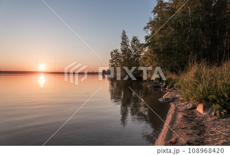 Lake with pine and birch forest on the shores at summer or early autumn sunset. 108968420