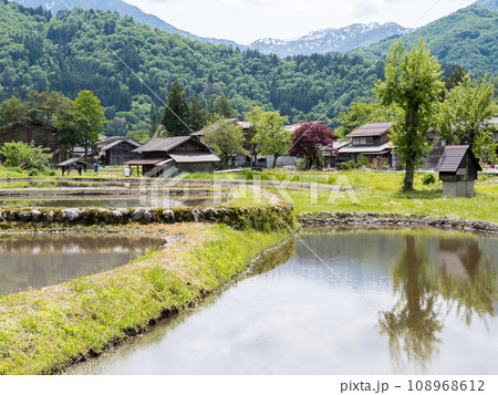 【白川郷】田植え前の合掌造りの村歩き 108968612