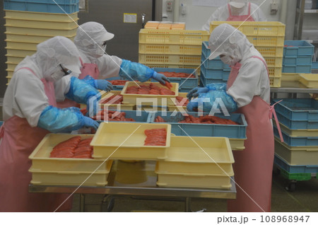 めんたいパーク神戸三田 めんたいパーク神戸三田 108968947