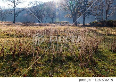 草原の日の出 草原の日の出 108970219