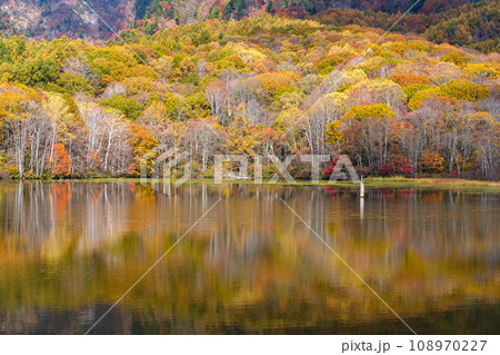 映る紅葉 映る紅葉 108970227