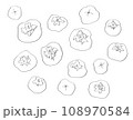 柿：鉛筆で描いたドローイング 108970584