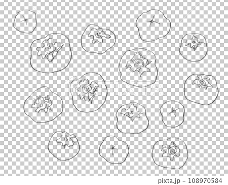 柿:鉛筆で描いたドローイング 柿:鉛筆で描いたドローイング 108970584