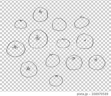 みかん:鉛筆で描いたドローイング みかん:鉛筆で描いたドローイング 108970589