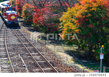 秋のトロッコ列車1 108970644