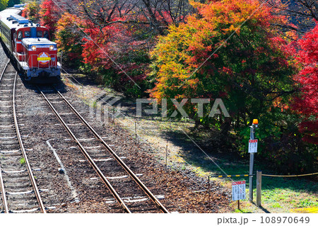 秋のトロッコ列車3 108970649
