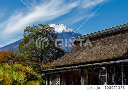 外国人観光客に大人気の忍野八海と富士山の秋の風景 108971328