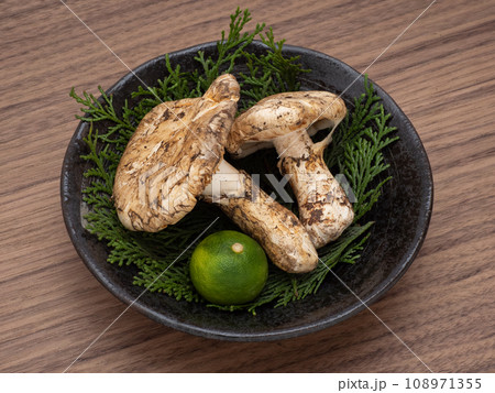 マツタケ マツタケ 108971355