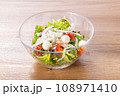 サラダ 108971410