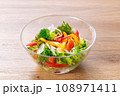 サラダ 108971411