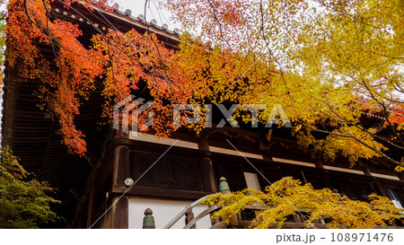 紅葉の播州清水寺 108971476