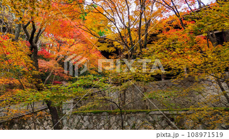 紅葉の播州清水寺 紅葉の播州清水寺 108971519