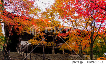 紅葉の播州清水寺 紅葉の播州清水寺 108971524