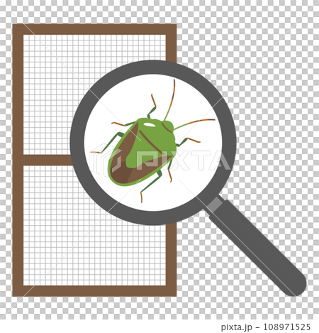 Illustration of a stink bug attached to a screen door 108971525