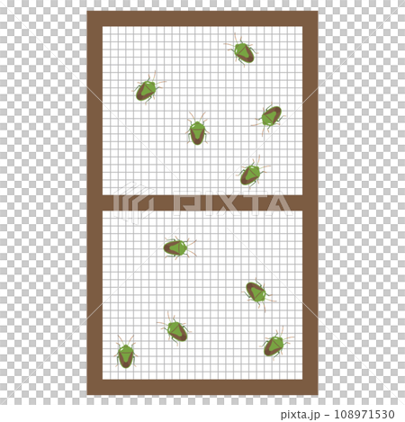 Illustration of a stink bug attached to a screen door 108971530