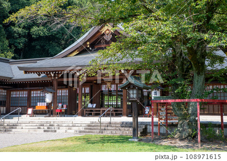 群馬懸護国神社　拝殿　真夏の風景　高崎市　 108971615