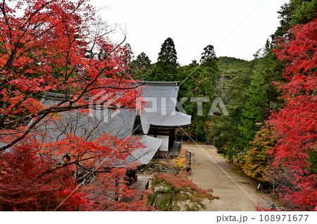 神護寺　紅葉 108971677
