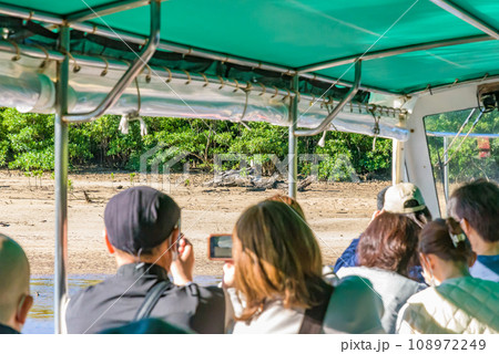仲間川のマングローブ林クルーズツアー（西表島） 108972249