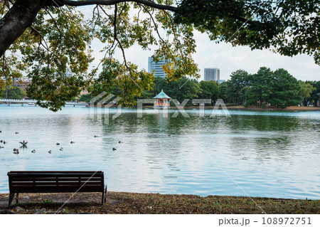 日本の公園　福岡県大濠公園の風景 108972751