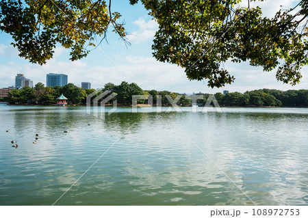 日本の公園　福岡県大濠公園の風景 108972753