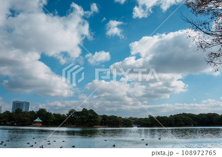 日本の公園 福岡県大濠公園の風景 日本の公園 福岡県大濠公園の風景 108972765