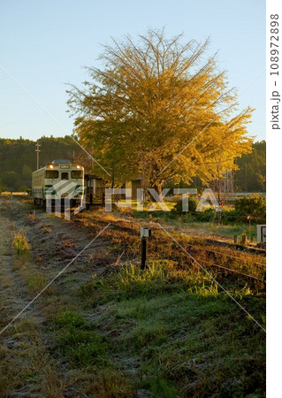 紅葉の銀杏とレトロ列車 小湊鉄道 上総久保駅 紅葉の銀杏とレトロ列車 小湊鉄道 上総久保駅 108972898