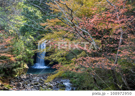 初秋に清流と紅葉に自然風景に癒される岳間渓谷の風景 初秋に清流と紅葉に自然風景に癒される岳間渓谷の風景 108972950