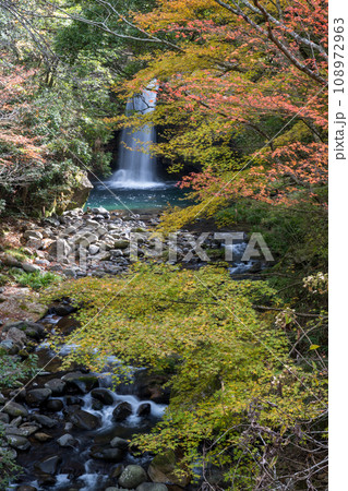 初秋に清流と紅葉に自然風景に癒される岳間渓谷の風景 108972963