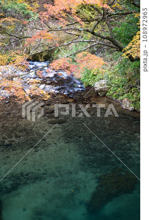 初秋に清流と紅葉に自然風景に癒される岳間渓谷の風景 108972965