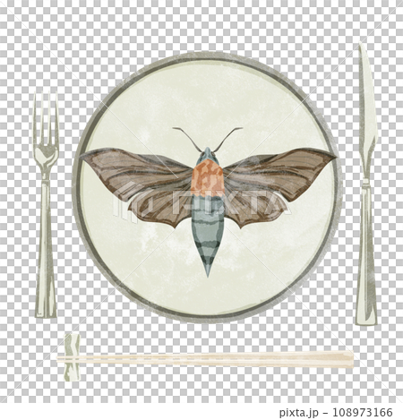 Hand-drawn watercolor style illustration of a moth on a plate 108973166