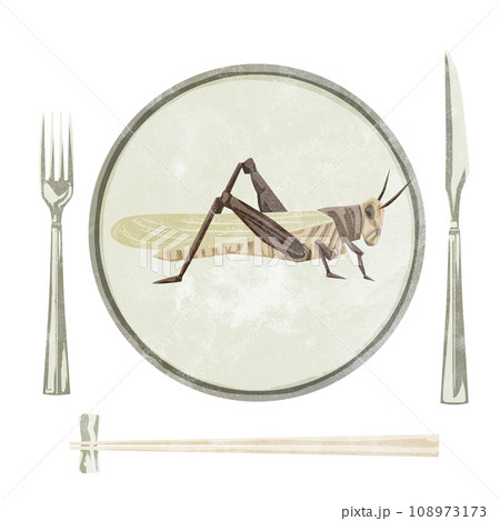 皿に乗ったバッタの手描き水彩風イラスト 皿に乗ったバッタの手描き水彩風イラスト 108973173
