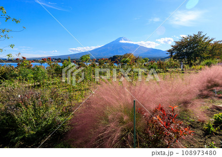 山梨県大石公園のハナテラスのお花畑の風景 山梨県大石公園のハナテラスのお花畑の風景 108973480
