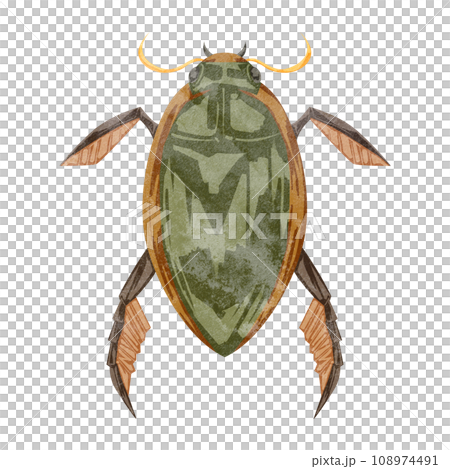 Hand-drawn watercolor style illustration of Gengoro 108974491