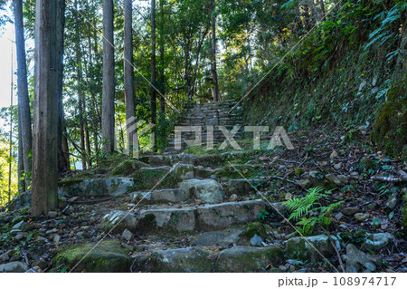 熊野古道（中辺路） 108974717