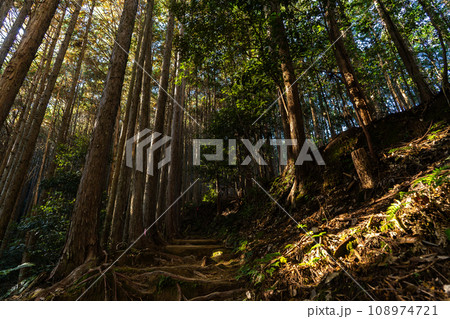 熊野古道(中辺路) 熊野古道(中辺路) 108974721