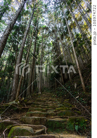 熊野古道(中辺路) 熊野古道(中辺路) 108974722