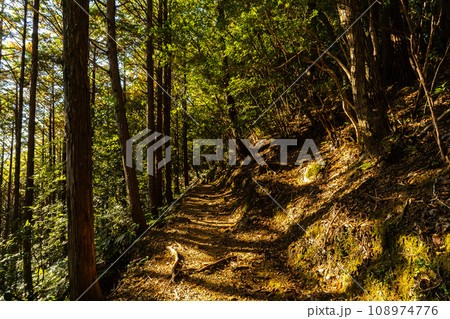 熊野古道（中辺路） 108974776