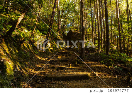 熊野古道(中辺路) 熊野古道(中辺路) 108974777