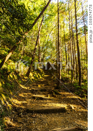 熊野古道(中辺路) 熊野古道(中辺路) 108974778