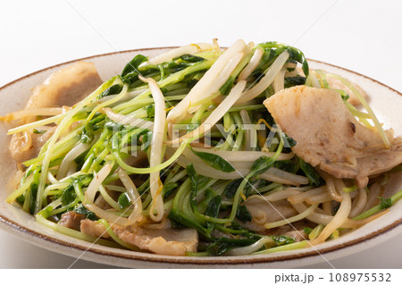 豚肉ともやしの豆苗炒め 豚肉ともやしの豆苗炒め 108975532