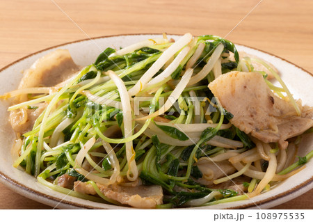 豚肉ともやしの豆苗炒め 108975535