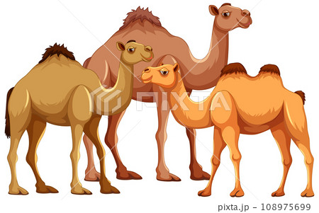 Camel Family Cartoon 108975699