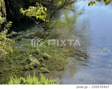 柿田川公園 静岡県駿東郡清水町 柿田川公園 静岡県駿東郡清水町 108976467