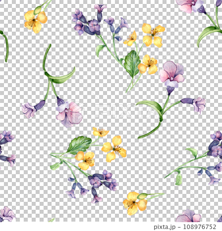 Medicinal plants watercolor seamless pattern isolated on white background. Pulmonaria officinalis purple flower hand drawn. Painted celandine herb plant. Design for label, package, textile, wrapping Medicinal plants watercolor seamless pattern isolated on white background. Pulmonaria officinalis purple flower hand drawn. Painted celandine herb plant. Design for label, package, textile, wrapping 108976752